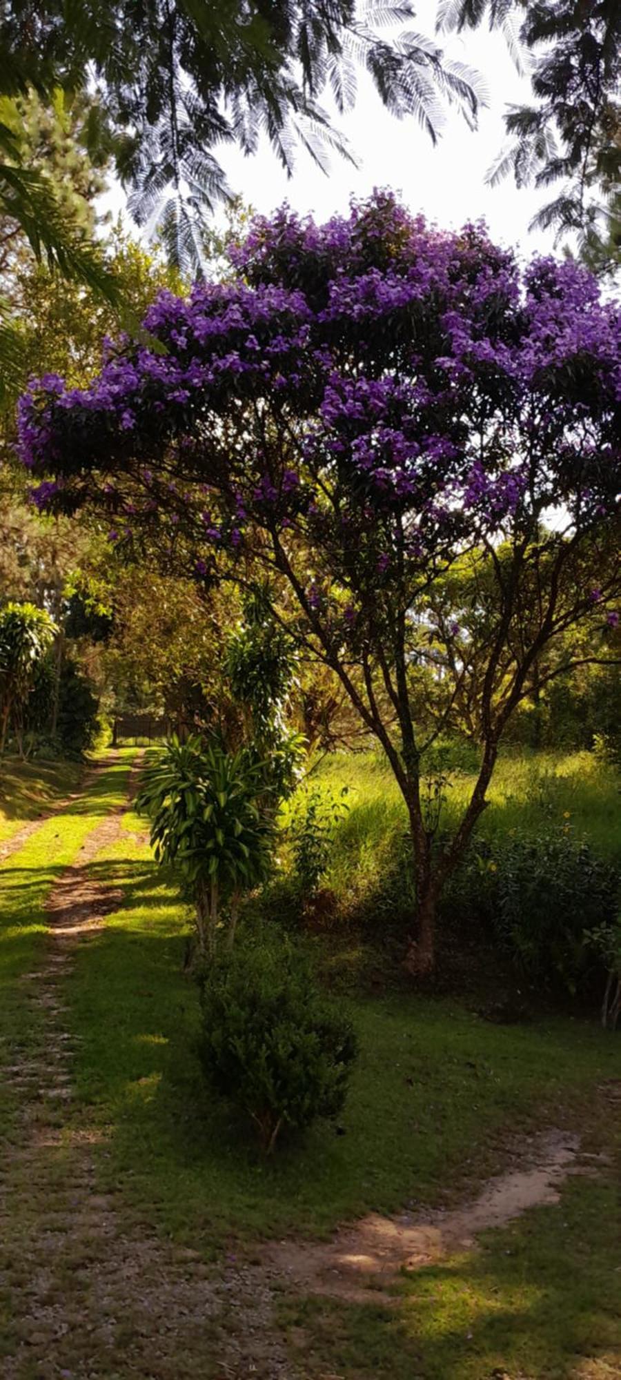 Sitio Gacied Villa Suzano Esterno foto