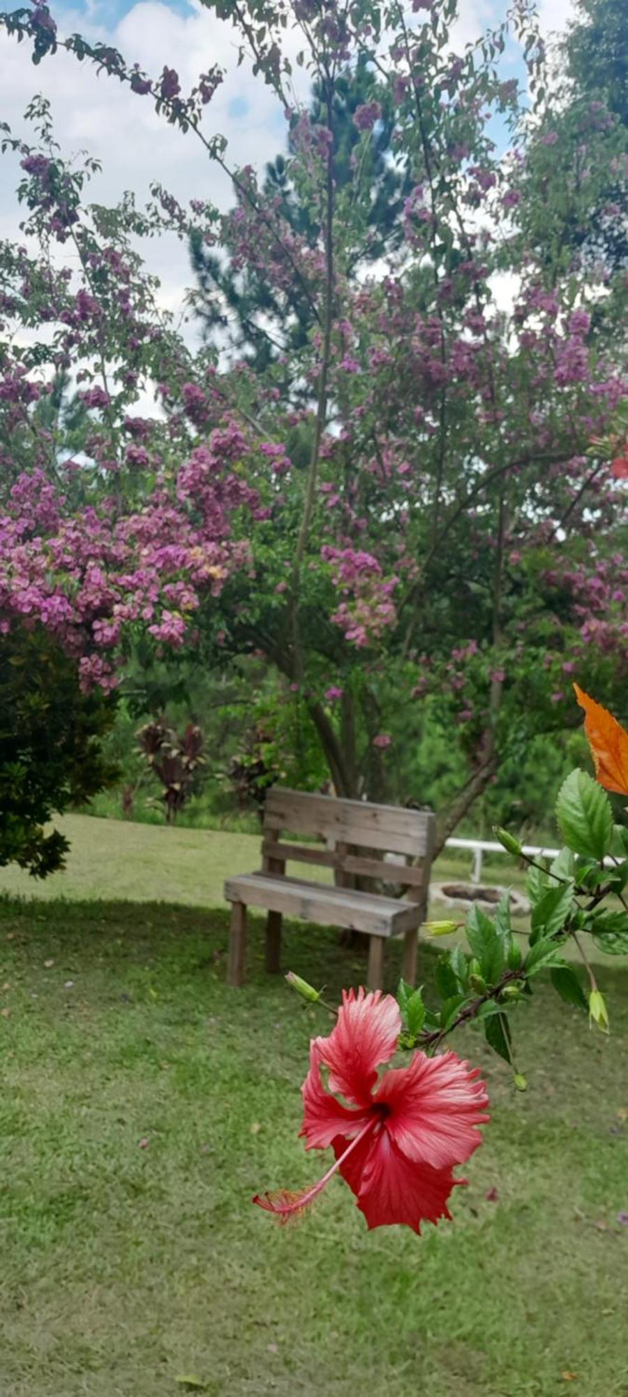 Sitio Gacied Villa Suzano Esterno foto